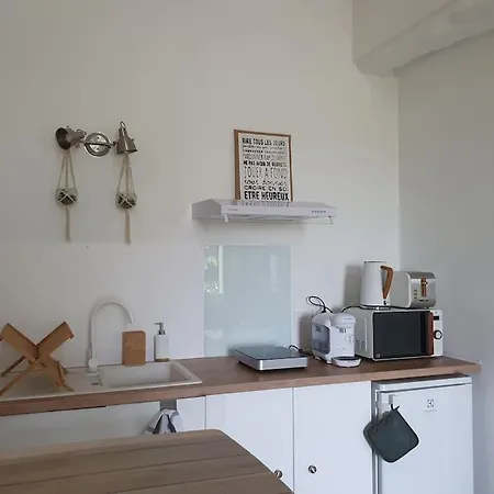 Studio Dans Les Vignes Du Domaine Millaire Fronsac *